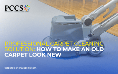 Professional Carpet Cleaning Solution: How to Make an Old Carpet Look New