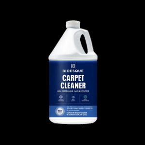 carpet-cleaner-bsq