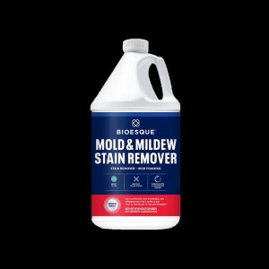 mold-and-mildew-remover-bsq