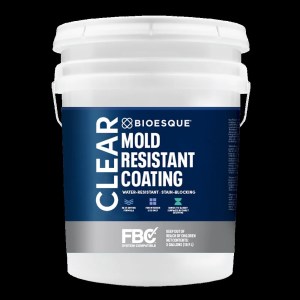 mold-coating-clear-bsq