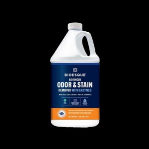 stain-and-odor-remover-bsq